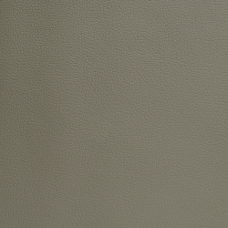 C8100 - СЕРАЯ GL  Экокожа на микрофибре HORN®_4