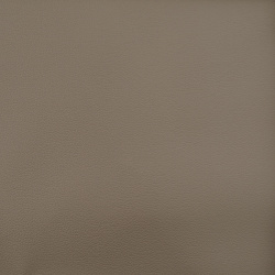 7051 - БЕЖЕВЫЙ, пластифицированная кожа HORN®_3