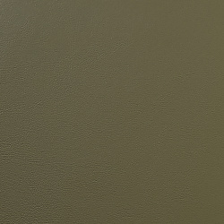 Экокожа на микрофибре наппа nappa S6030_3