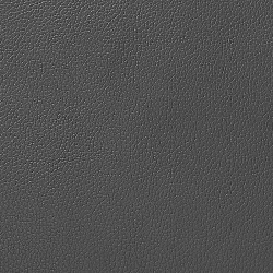 Биэластик Хорн 1563