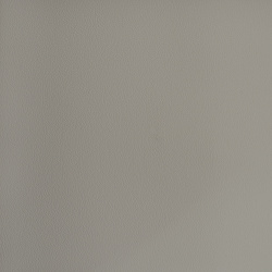 7000 - БЕЖЕВЫЙ, пластифицированная кожа HORN®_3