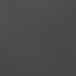 1621 - ЧЕРНЫЙ, пластифицированная кожа HORN®