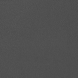 1444 - ЧЕРНЫЙ, пластифицированная кожа HORN®