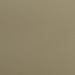 SK6525 - БЕЖЕВЫЙ Экокожа компаньон HORN 0,5 пог. м._2