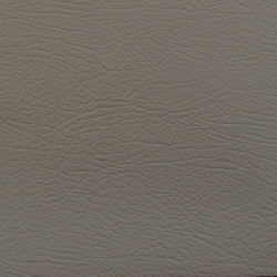 7033 - БЕЖЕВАЯ, пластифицированная кожа HORN®_2