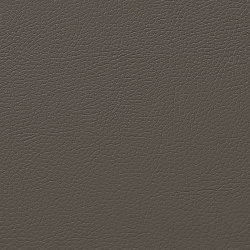 1400 - БЕЖЕВЫЙ, пластифицированная кожа HORN®