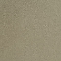 Экокожа на микрофибре Dakota R 2010 св.бежевая_4