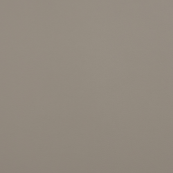 C8677 - ТЕМНО-БЕЖЕВЫЙ Экокожа на микрофибре HORN®_2