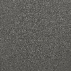 Horn Пластифицированная кожа 6104