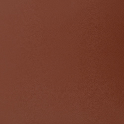7062 - ТЕРАКОТ, пластифицированная кожа HORN®_3