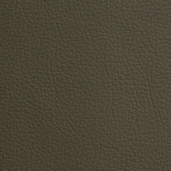 C8102 - ХАКИ GL  Экокожа на микрофибре HORN®_4