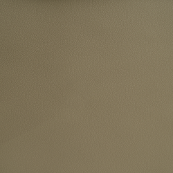 Экокожа на микрофибре Dakota R 2022 бежевая_3