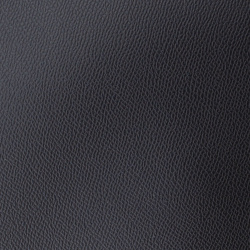 6890 - ЧЕРНЫЙ, пластифицированная кожа HORN®_2