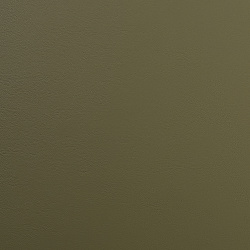 Экокожа на микрофибре наппа nappa S6030_5