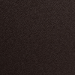 7003 - КОРИЧНЕВЫЙ, пластифицированная кожа HORN®_2