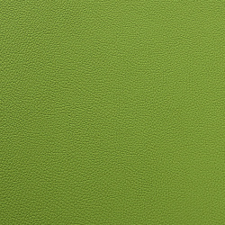 Экокожа на микрофибре HORN E7050_5