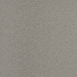 7000 - БЕЖЕВЫЙ, пластифицированная кожа HORN®_2