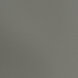 7009 - БЕЖЕВАЯ, пластифицированная кожа HORN®_2